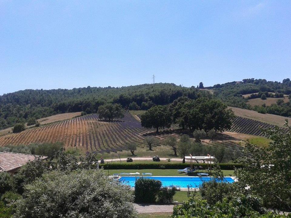 Il Poggio Di Teo Villa Manciano Eksteriør billede