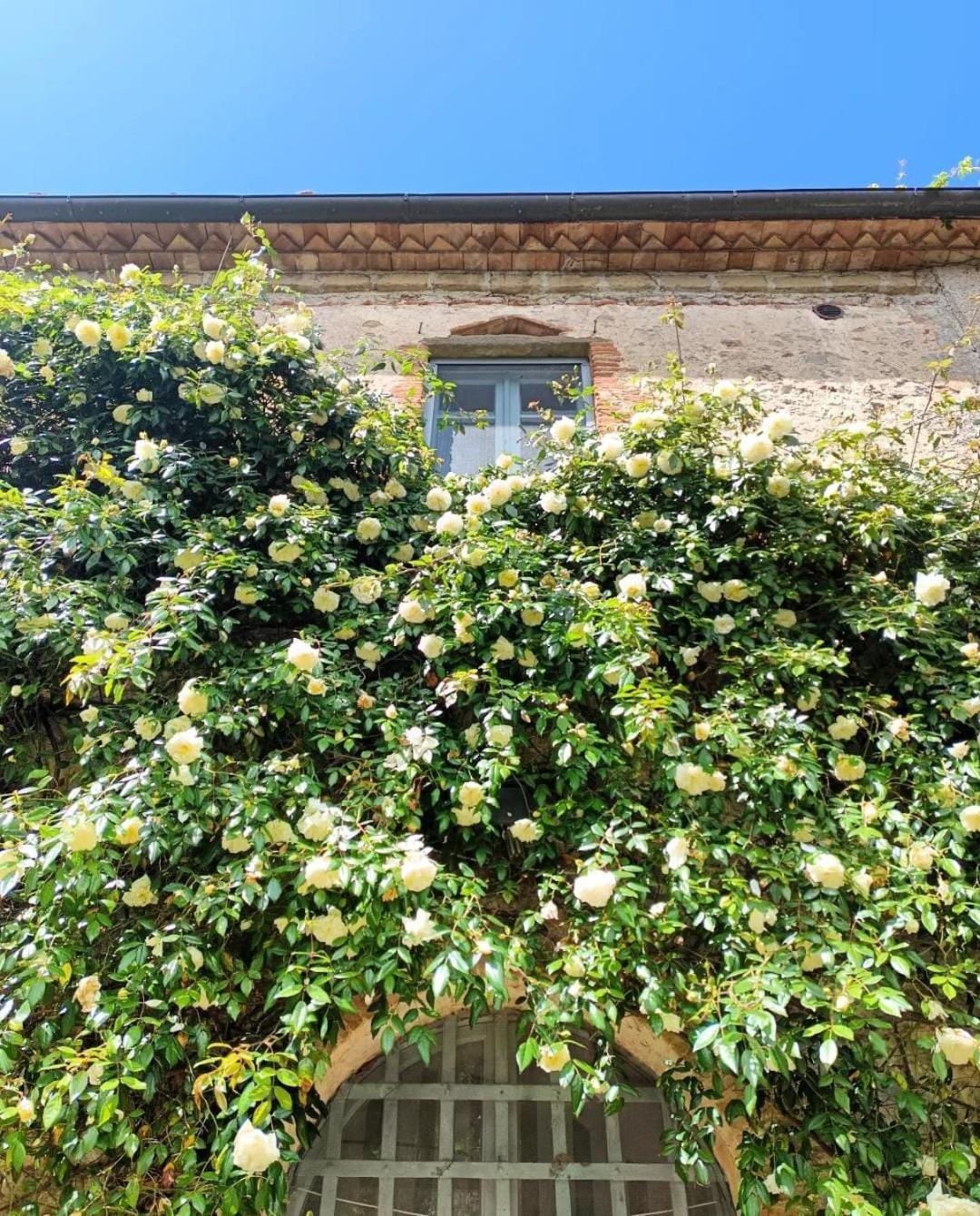 Il Poggio Di Teo Villa Manciano Eksteriør billede